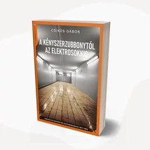 A kényszerzubbonytól az elektrosokkig