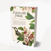 Ezüstszélű felhők
