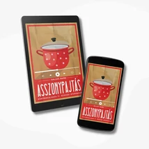 Asszonypajtás konyhakalauza 21. századi spúroknak -ehangoskönyv