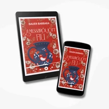 A messziről jött fiú -ehangoskönyv