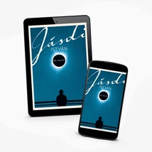 Oké, Boomer -ekönyv