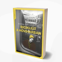 Bicikliút a hóviharban