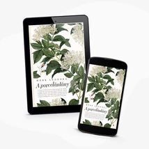Mörk Leonóra: A porcelánlány