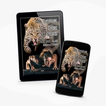 Gyors és gyilkos -ekönyv