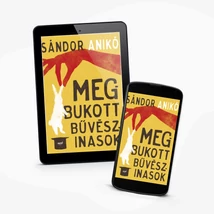 Megbukott bűvészinasok - ekönyv