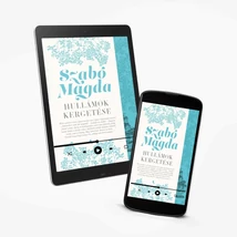 Hullámok kergetése -ehangoskönyv