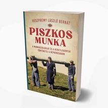 Piszkos munka