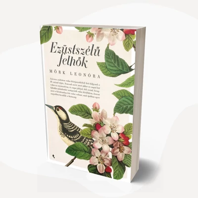 Ezüstszélű felhők