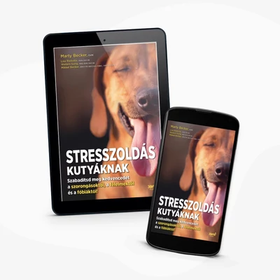 Stresszoldás kutyáknak - e-könyv