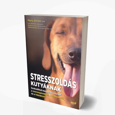 Stresszoldás kutyáknak