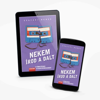 Nekem írod a dalt - e-könyv