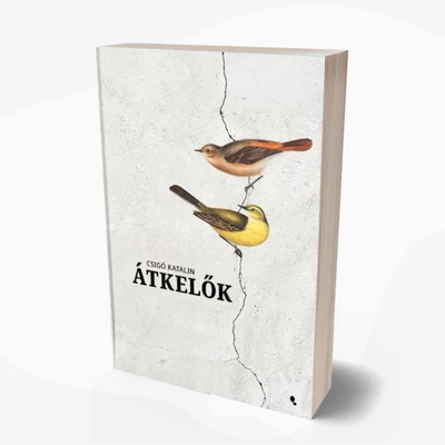 Átkelők - kartonált