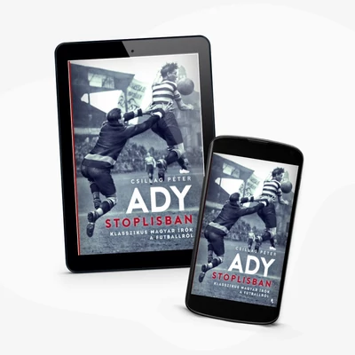 Csillag Péter: Ady stoplisban