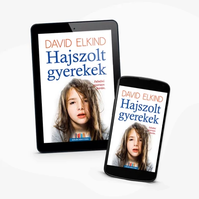 Hajszolt gyerekek - e-könyv