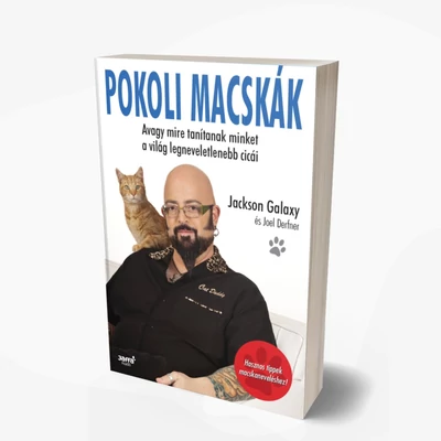 Pokoli macskák
