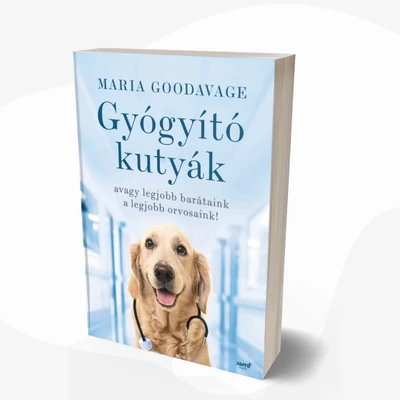 Gyógyító kutyák