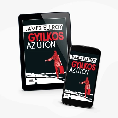 Gyilkos az úton - e-könyv