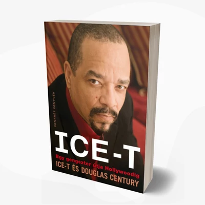 Ice-T - Egy gengszter útja Hollywoodig