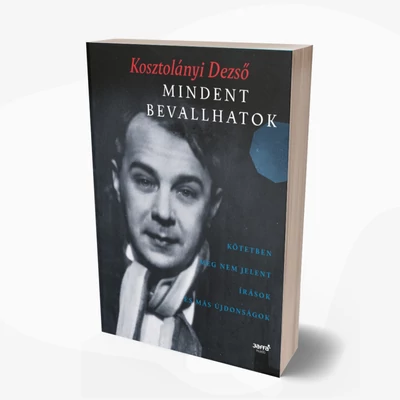 Mindent bevallhatok