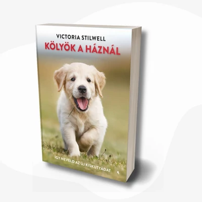 Kölyök a háznál