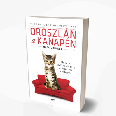 Oroszlán a kanapén