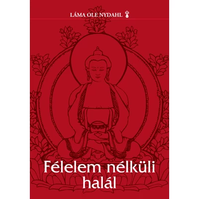 Félelem nélküli halál - ekönyv